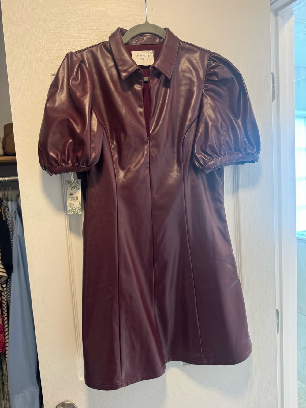 Tuckernuck Hyacinth House Maroon Leather Dress